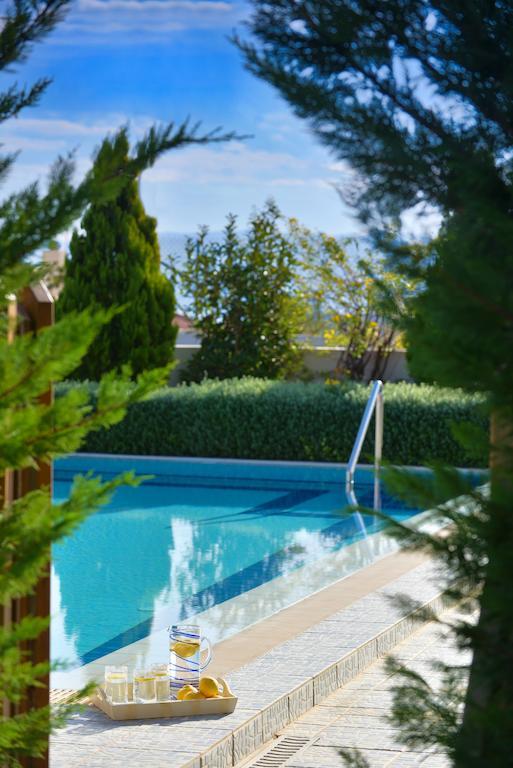Danae Villas Chersonissos Buitenkant foto